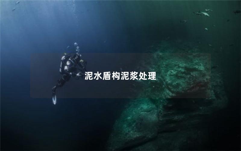 泥水盾构泥浆处理