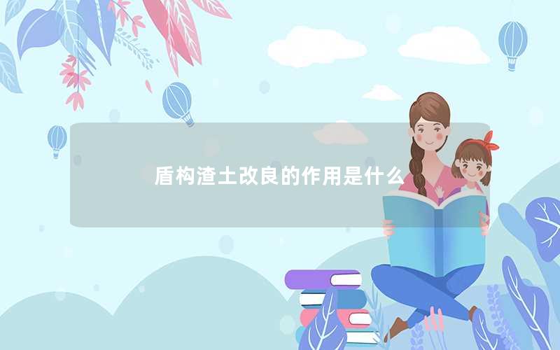 盾构渣土改良的作用是什么