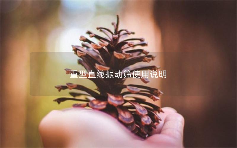 重型直线振动筛使用说明