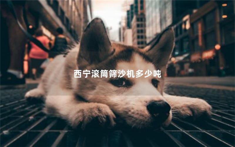 西宁滚筒筛沙机多少吨