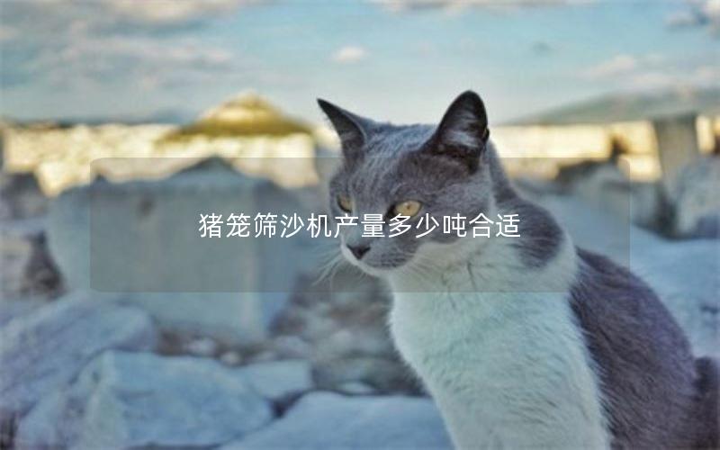 猪笼筛沙机产量多少吨合适